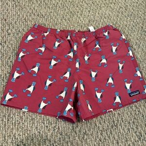 Patagonia Baggies Size Mens Large Multicolor Footed Booby Bird AOP Swim Trunks